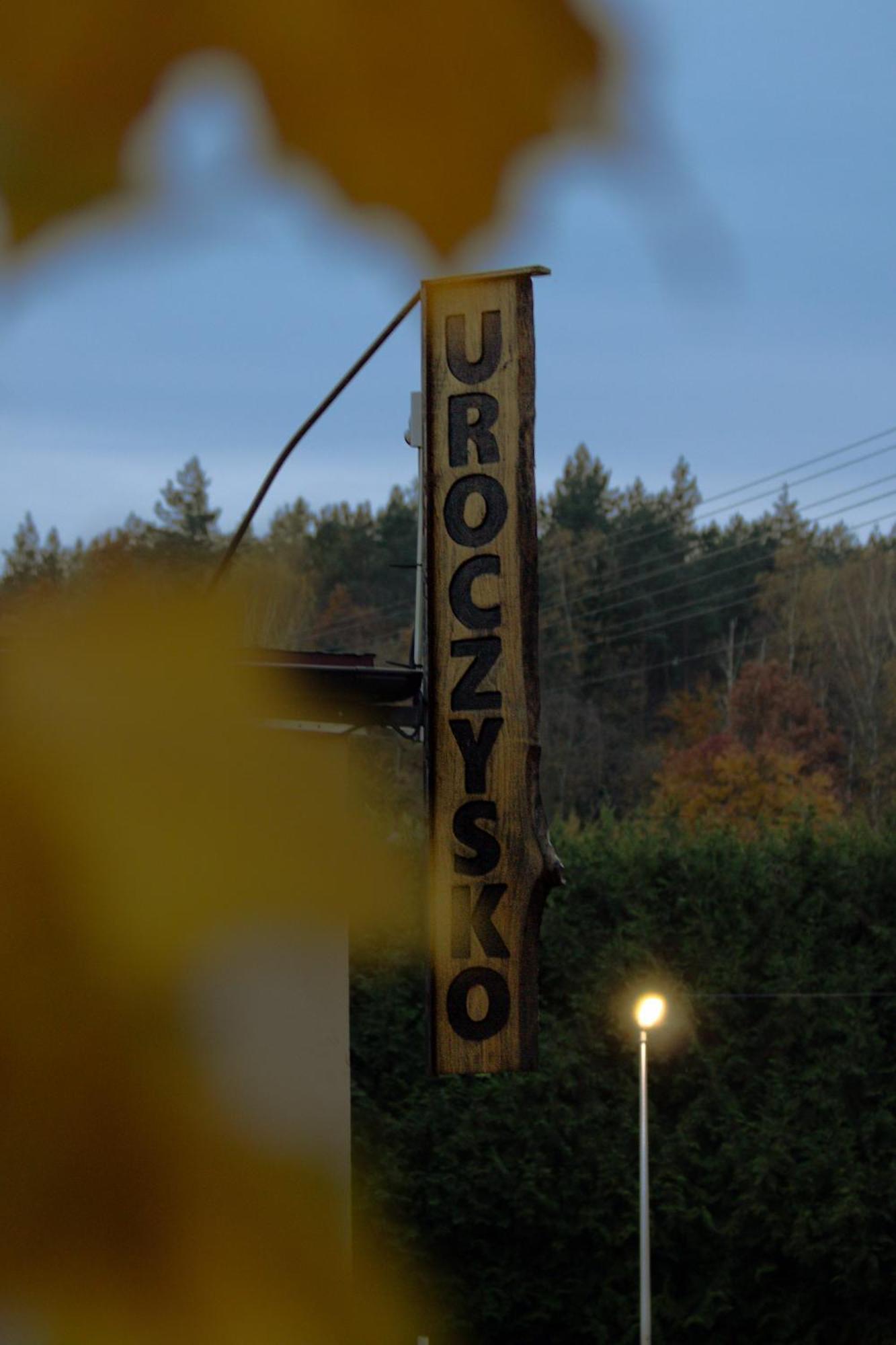Bed and Breakfast Uroczysko Olesnica Ходзеж Экстерьер фото